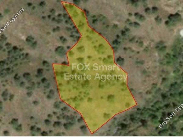 plot for sale agios theodoros soleas nicosia 1153013 image 5165361