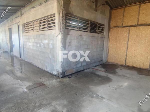studio warehouse for rent zakaki limassol 8404013 image 15123869
