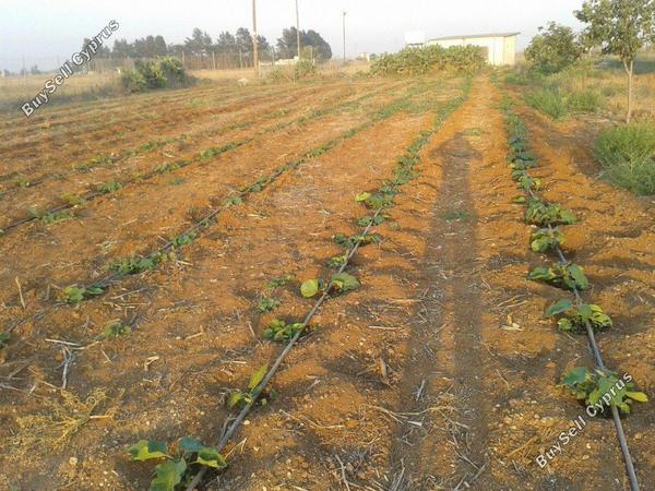 4 bedroom detached house for sale xylotymvou larnaca 1685113 image 5187992