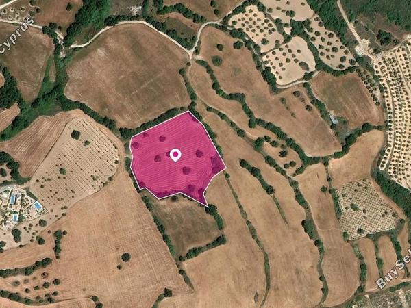land for sale kato akourdalia paphos 8396113 image 14823691