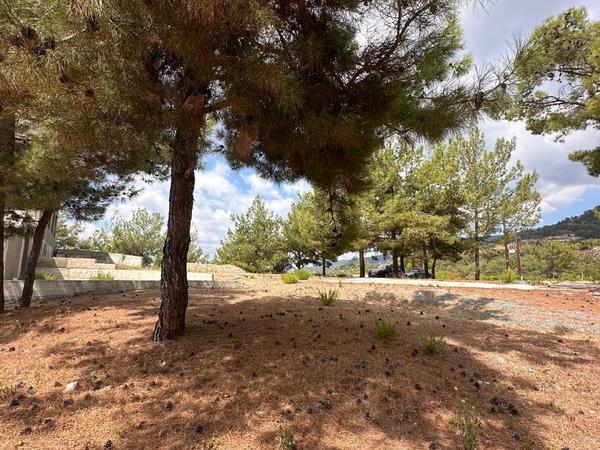 studio hotel for sale kato platres limassol 8046113 image 12923130