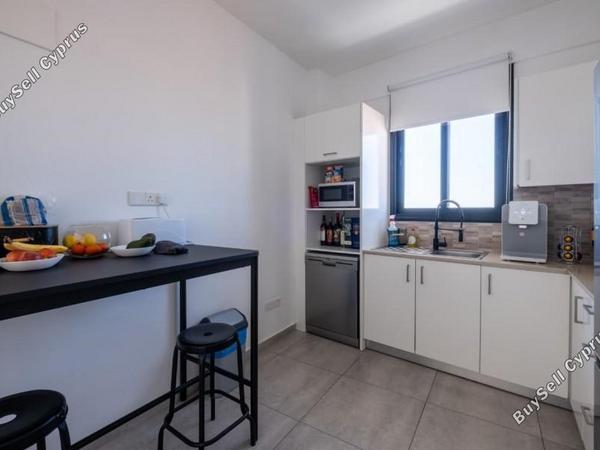studio office for rent paphos municipality paphos 8500113 image 15326162