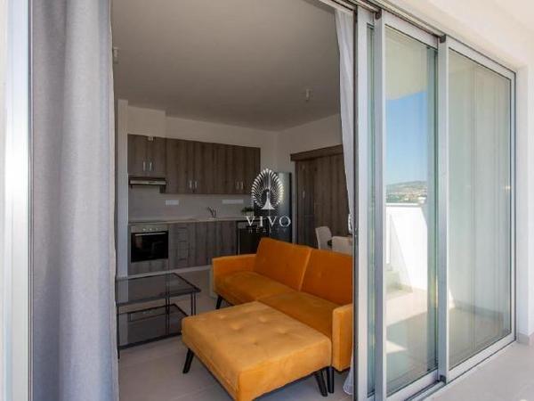 1 bedroom apartment for rent kato polemidia limassol 8413213 image 16341818