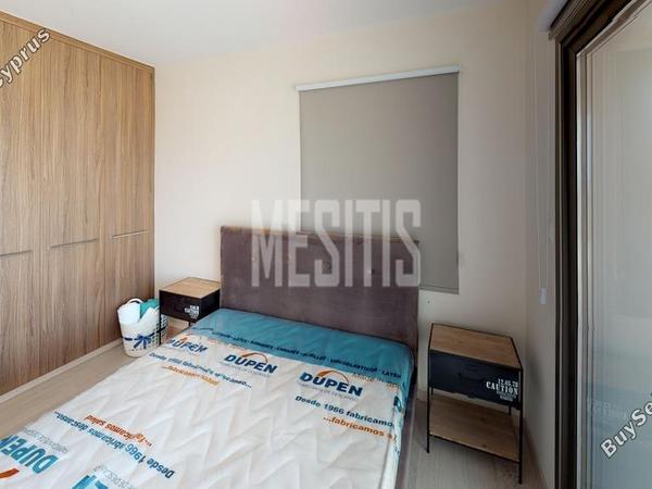 3 bedroom detached house for sale maroni larnaca 1438213 image 10505686