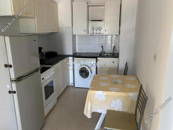 2 bedroom apartment for rent paphos municipality paphos 8711313 image 16281483