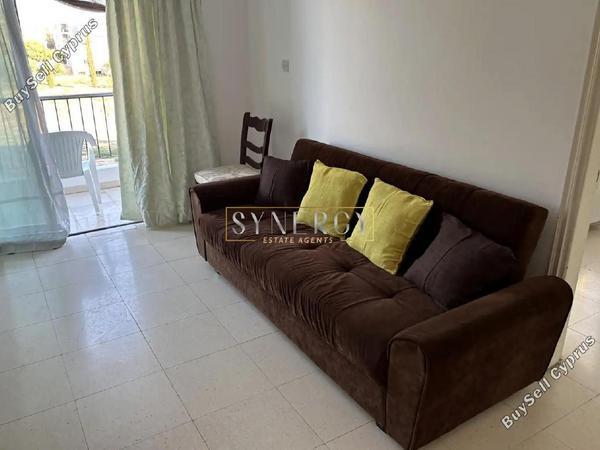 2 bedroom apartment for rent paphos municipality paphos 8711313 image 16281485