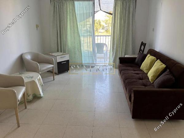 2 bedroom apartment for rent paphos municipality paphos 8711313 image 16281486