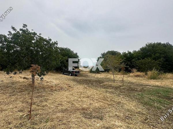 land for sale emba paphos 1806313 image 10047133