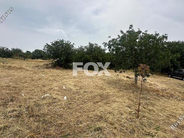 land for sale emba paphos 1806313 image 10047136