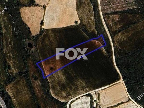 land for sale kathikas paphos 1301313 image 5588871