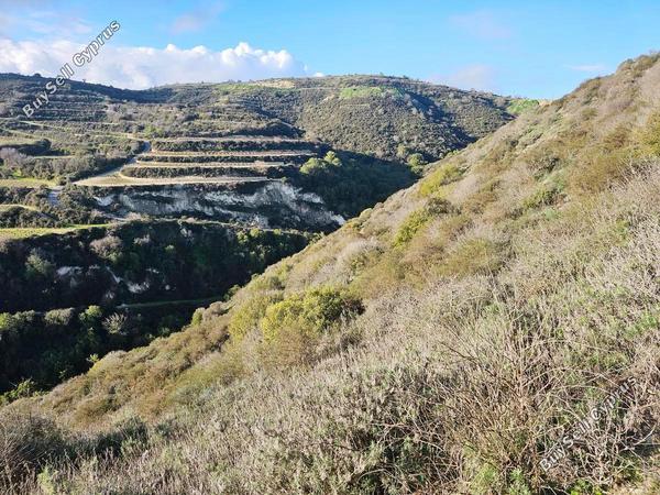 land for sale theletra paphos 1841413 image 6583960
