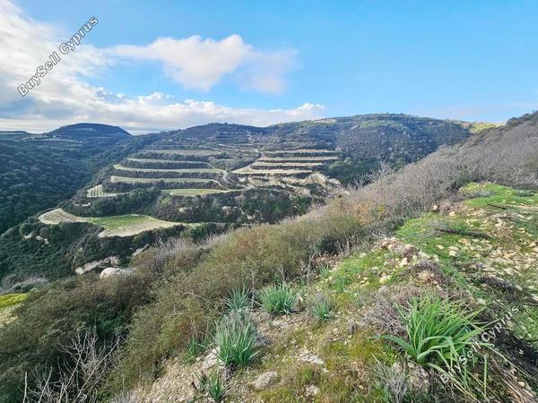 land for sale theletra paphos 1841413 image 6583965
