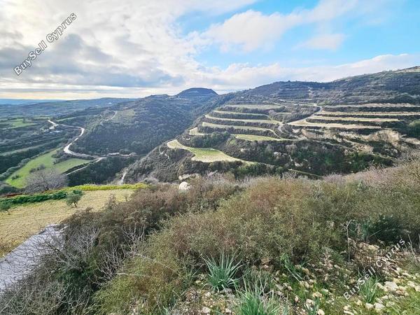 land for sale theletra paphos 1841413 image 6583970