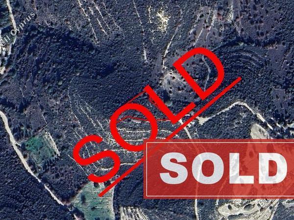 land sold pano kivides limassol 1532413 image 15681489