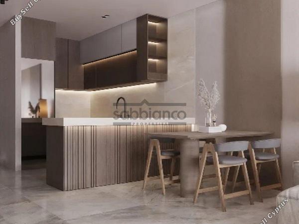 1 bedroom apartment for sale pyrga larnaca 8741513 image 16393817