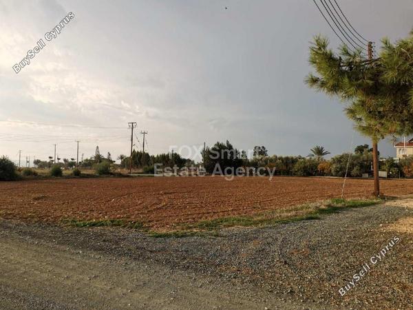 land for sale agios theodoros larnacas larnaca 1239513 image 16518539