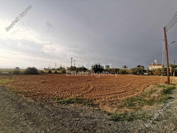 land for sale agios theodoros larnacas larnaca 1239513 image 16518542