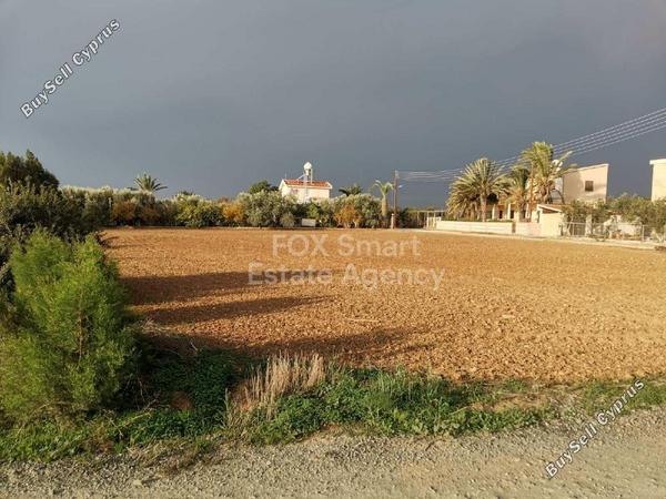 land for sale agios theodoros larnacas larnaca 1239513 image 16518545