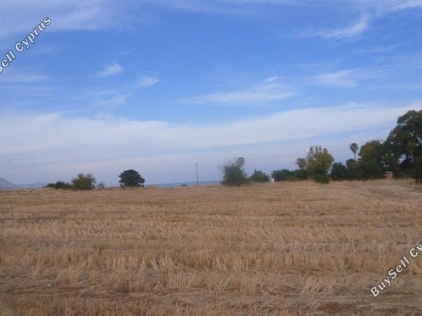 land for sale latsi paphos 7739513 image 13018101