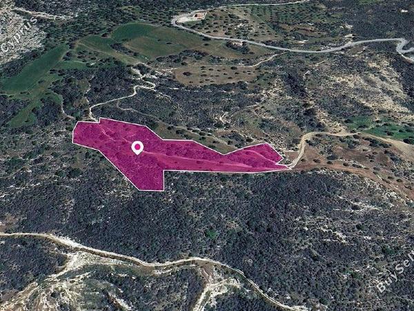 land for sale agios isidoros paphos 8237613 image 14231401