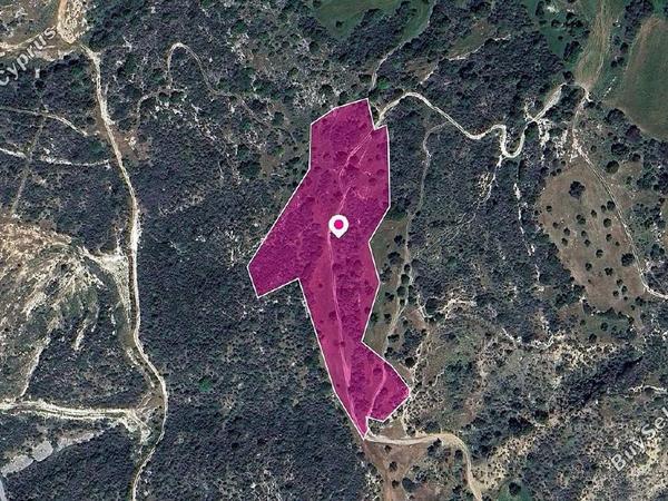 land for sale agios isidoros paphos 8237613 image 14231404