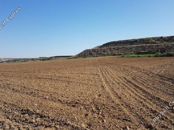 land for sale dali nicosia 829613 image 15664116