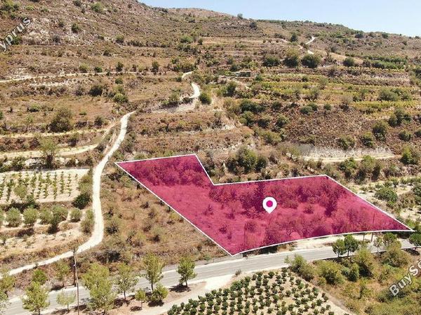 land for sale praitori paphos 1897613 image 14206843
