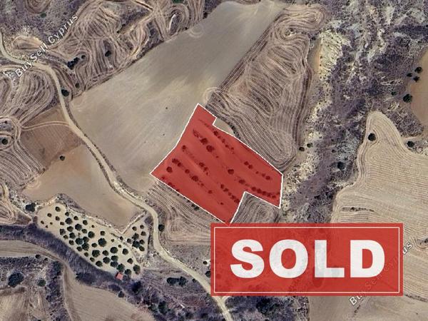land sold agrokipia nicosia 7703613 image 10008682