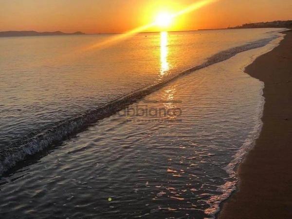 3 bedroom detached house for rent alaminos larnaca 8738813 image 16364668