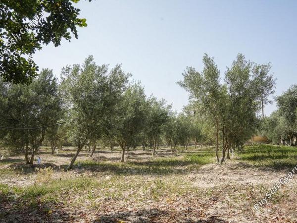 5 bedroom detached house for sale alethriko larnaca 7734813 image 10162979