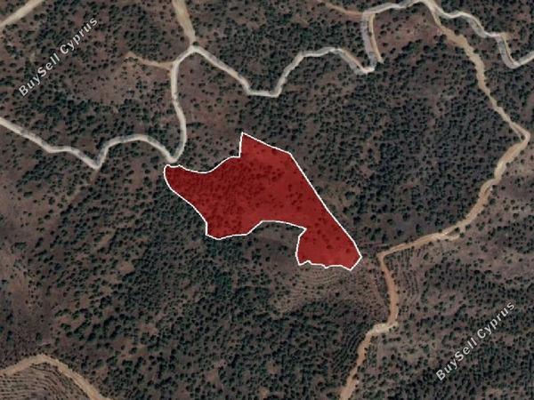 land for sale agios theodoros soleas nicosia 945813 image 15600615