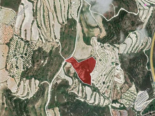 land for sale tsada paphos 1759813 image 15597878