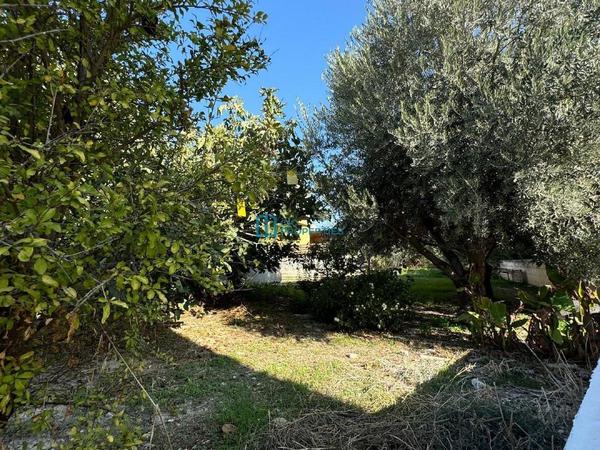 4 bedroom detached house for sale sotiros agios ioannis larnaca larnaca 7819913 image 10670743
