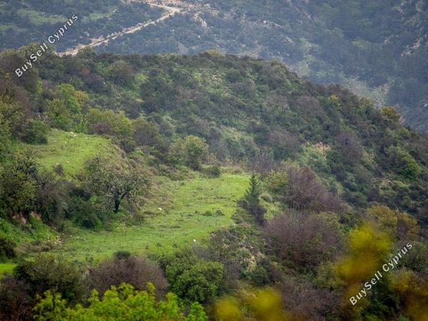 land for sale akoursos paphos 8433913 image 15595010