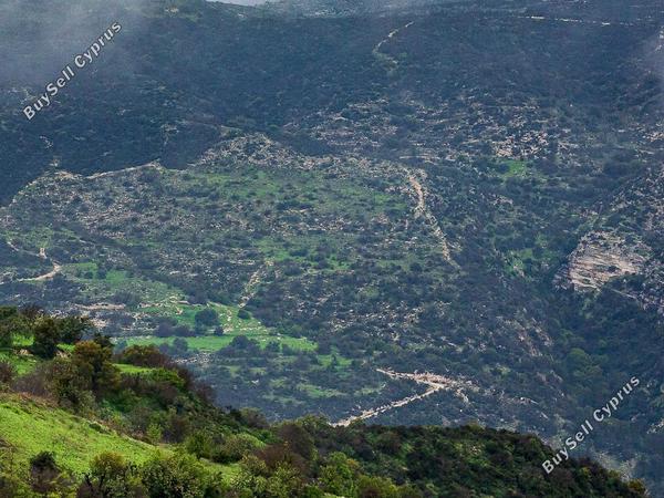 land for sale akoursos paphos 8433913 image 15595012