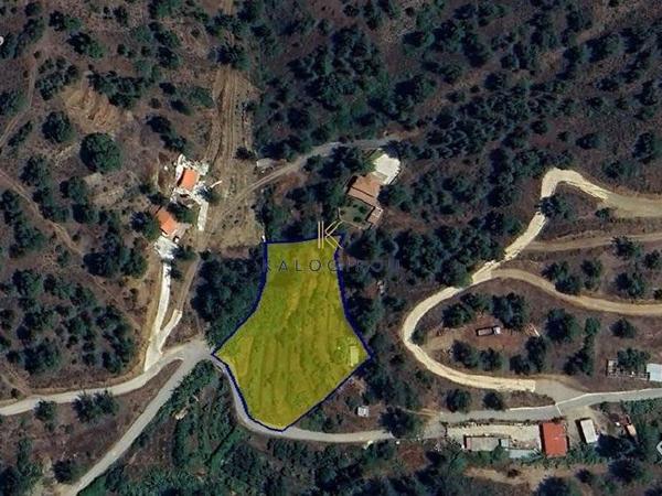 land for sale kakopetria nicosia 1829913 image 6450938