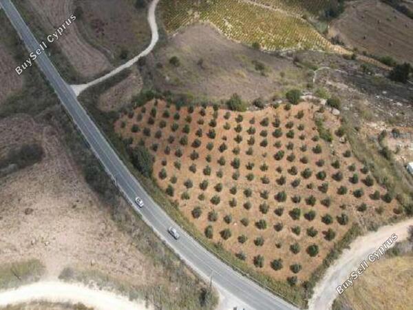 land for sale kato arodes paphos 1352913 image 2540410