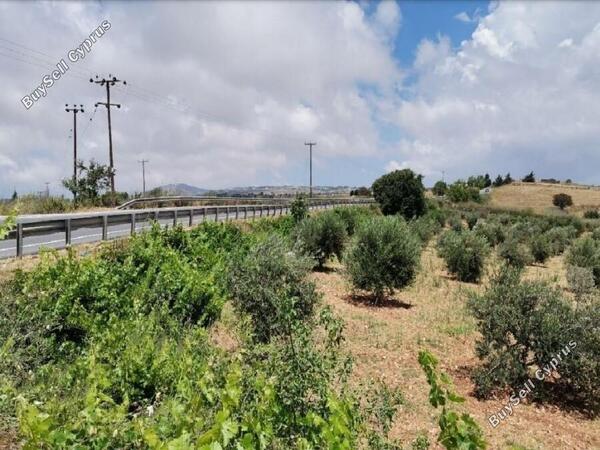 land for sale kato arodes paphos 1352913 image 2540411