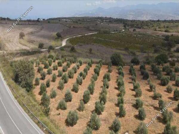 land for sale kato arodes paphos 1352913 image 2540413