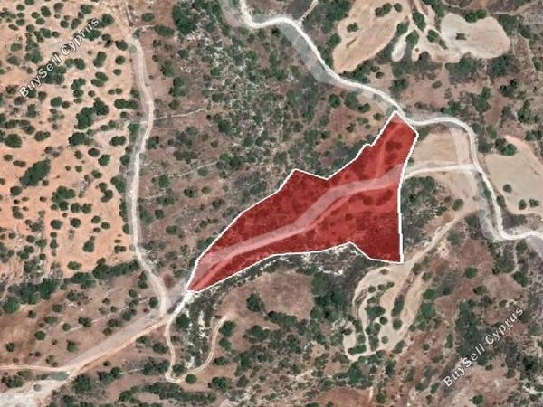 land for sale peristerona pafou paphos 945913 image 15600121