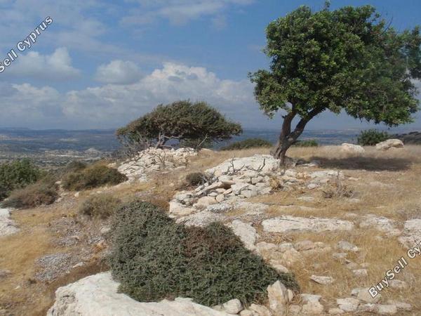 land for sale pissouri limassol 828913 image 11081637