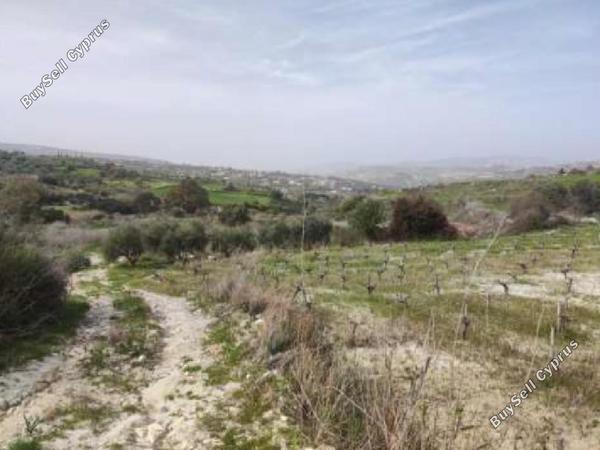 land for sale stroumbi paphos 1517913 image 15598540