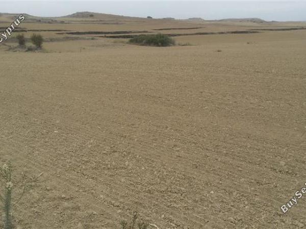 land for sale agia varvara nicosias nicosia 1062023 image 16159245