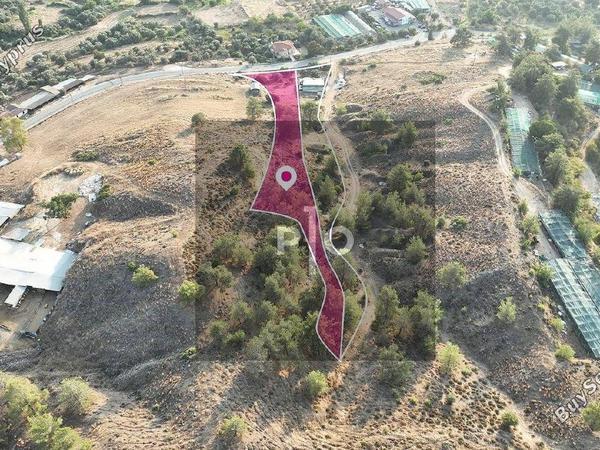 land for sale evrychou nicosia 8275023 image 15157025