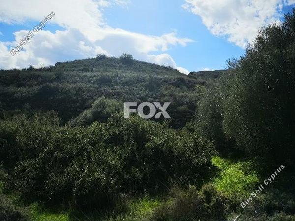 land for sale pachna limassol 8404023 image 14875721