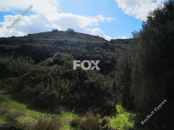 land for sale pachna limassol 8404023 image 14875722
