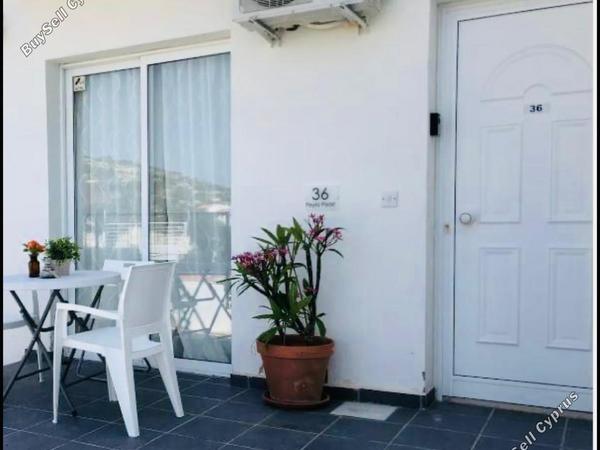 studio apartment for sale peyia paphos 8780023 image 16945452