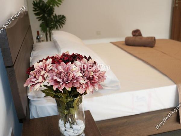 3 bedroom bungalow for sale pano arodes paphos 7813123 image 15762443