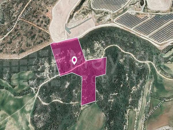 land for sale agios theodoros larnacas larnaca 7872123 image 13297504