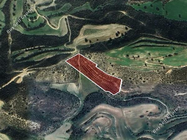 land for sale alaminos larnaca 1819123 image 15597773